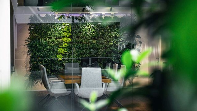 Tư Vấn Phong Cách Thiết Kế Nội Thất Văn Phòng Biophilic