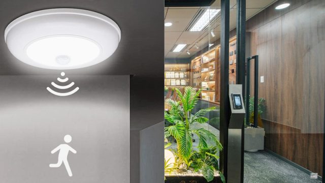 Thiết Kế Nội Thất Văn Phòng Tính Ứng Dụng Cao Là Gì?