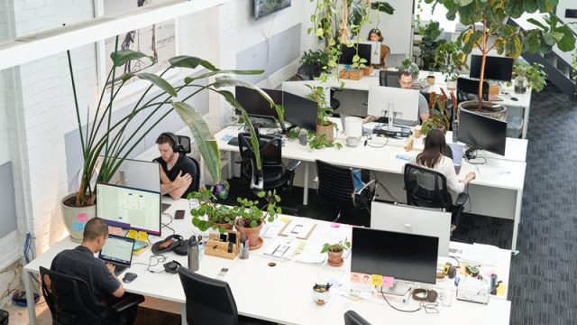 Lợi Ích Của Cây Xanh Trong Thiết Kế Trang Trí Nội Thất Văn Phòng
