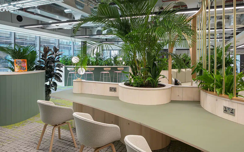 thiết kế văn phòng hcm
