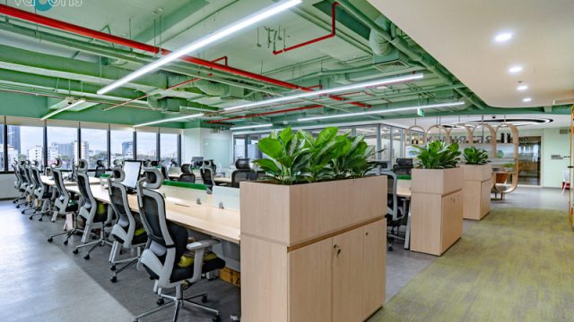 Thiết Kế Văn Phòng Công Ty Đẹp Với Thiên Nhiên
