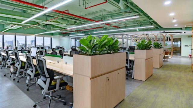 Có Nên Lựa Chọn Thiết Kế Theo Mô Hình Văn Phòng Xanh?