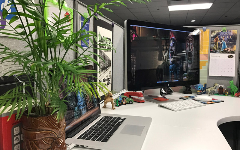 cây để bàn văn phòng