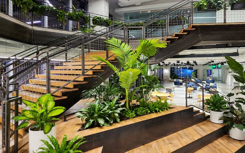 Văn phòng trọn gói