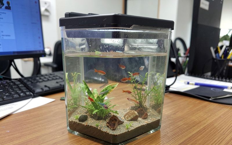 trang trí bàn làm việc văn phòng