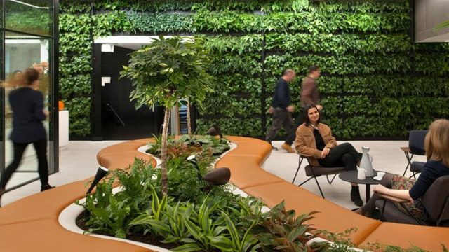 Biophilic Offices – Thiết Kế Văn Phòng Xanh Nâng Tầm Trải Nghiệm Làm Việc