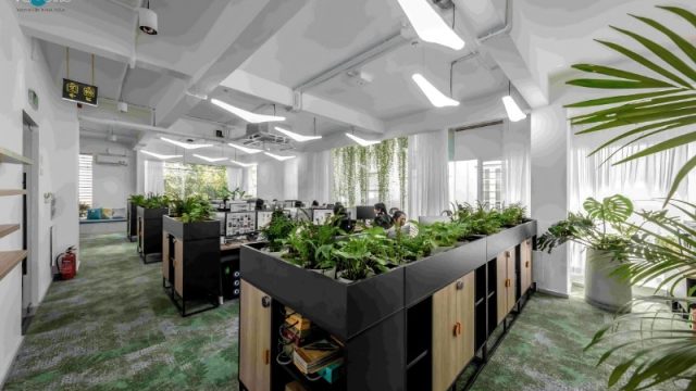 Bố Trí Cây Xanh Văn Phòng Vừa Đẹp Vừa Dễ Chăm Sóc